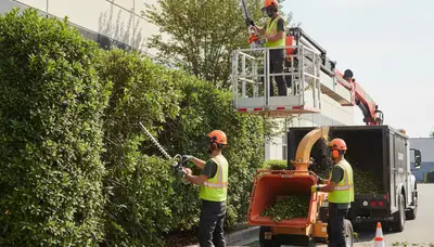 Cherry Hill, NJ shrub removal by Arbor Tree Care for overgrown landscape cleanup