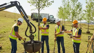 Cherry Hill, NJ arborist planting a young tree for professional tree planting services