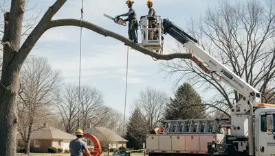 Cherry Hill, NJ tree service crew removing a damaged tree safely for a customer