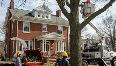 Tree service crew in Cherry Hill, NJ handling pruning and removal for a residential property