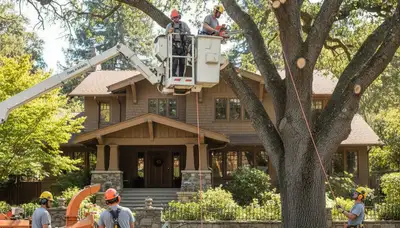 Tree service crew in Cherry Hill, NJ providing professional tree trimming and removal services